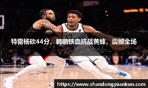 k1体育官方网站