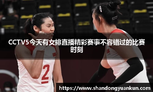 k1体育官方网站