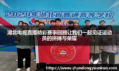 k1体育官方网站