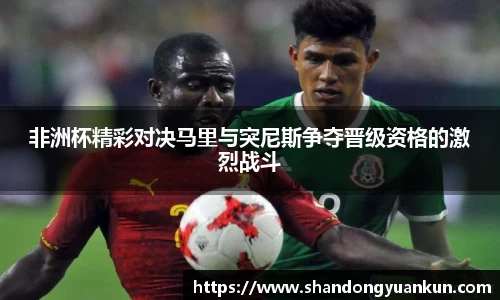 非洲杯精彩对决马里与突尼斯争夺晋级资格的激烈战斗