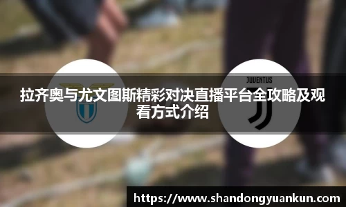 k1体育网页版