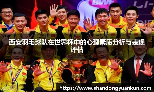 西安羽毛球队在世界杯中的心理素质分析与表现评估